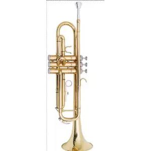 초보자용트럼펫 연주 플라스틱 초보자용 트럼펫 연주