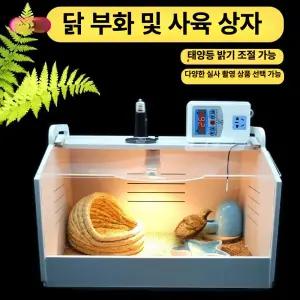 육추기 병아리부화기 메추리 자동부화기 번식 온도조절 상자 달걀