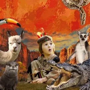 [울산] 캐니언파크 입장권/울산동물원/가볼만한곳/키즈카페/키즈까페/테마파크/실내동물원/애니멀/데이트