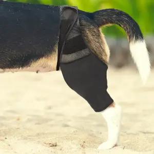 슬개골 강아지 고관절 보호대 통깁스 강아지 뒷다리 보호대 관절 탈구