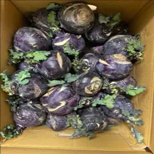 국내산 제주 햇 콜라비 효능 (10kg)