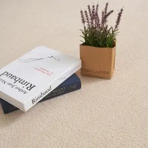 러그마켓 플레인 단모 극세사러그 심플 모던 사계절카페트