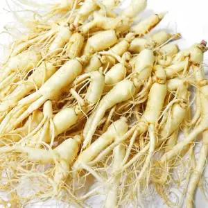 가정용 세척인삼 난발삼 27-35뿌리 700g