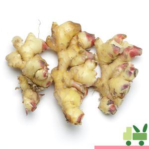 생강 (흙생강) (특) 5Kg