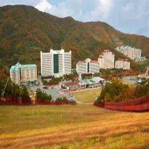 [강원 호텔] 소노벨 비발디파크 D (홍천,횡성)