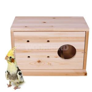 사각 왕관앵무 알통(앞문형) 알집 앵무새알통 코뉴어 다람쥐 번식용