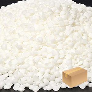 데일리 필라왁스 - 1박스(20kg)