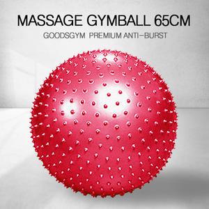 구스짐 짐볼 마사지 65CM 안티버스트 프리미엄 다이어트
