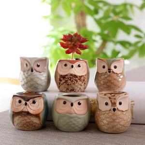 복 부엉이 다육이 6P 세트 화분(화분만)