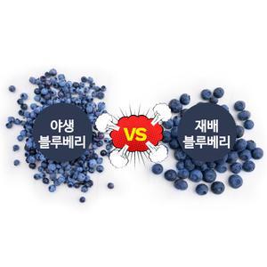 베리필드 세척 야생 냉동 블루베리 1kg
