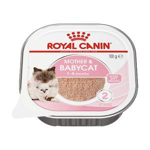 로얄캐닌 캣 마더 앤 베이비 무스 트레이 100g 고양이 간식 습식사료