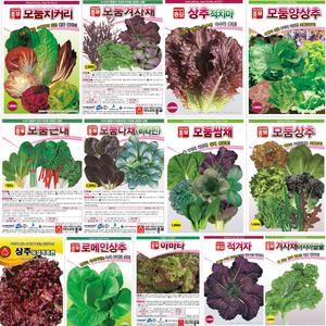 상추 모둠 종자 씨앗 쌈채소 샐러드 겨자채 근대 다채 비타민 적치마 청치마 수경재배 [오디가 ODIGA]