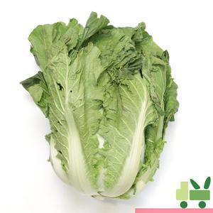 배추 (2등) 2포기 (4kg)