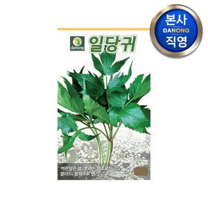 일당귀 씨앗 2g . 잎당귀 야채 채소 텃밭 파종 재배 주말 농장 씨 종자