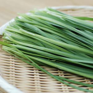 국내산 부추 4kg 내외 1박스 연하고 부드러운