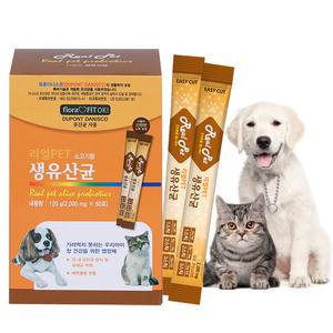리얼펫 생유산균 60포 / 강아지유산균 고양이유산균