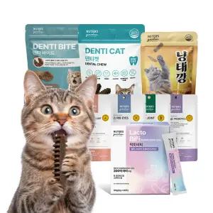 [누터스가든] 고양이 간식&영양제 BEST 상품 모음