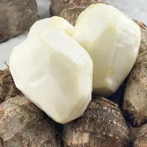 국산 흙 토란 2kg 2025년 햇 수확 혼합크기 곡성