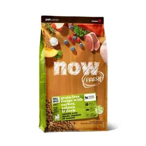 펫큐리언(Pet curean) 나우 그레인프리 스몰브리드 어덜트 9.98kg 1개+치석제거덴탈껌12p