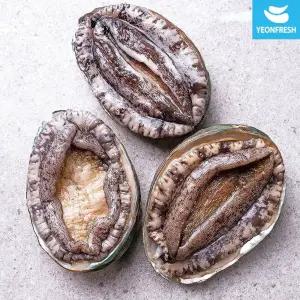 완도활전복 1kg 7-8미(미당125g내외) [산소팩, 무료배송]