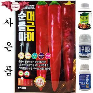 순돌이와대근이 1200립 바른씨드 25년 고추씨앗 고추종자