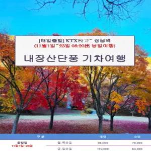 [KTX] 오색단풍 내장산 기차여행(11/1~11/23 08:20출발 당일)