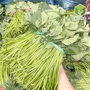 국내산 생 고구마줄기 고구마순 4kg내외