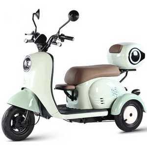 전기 삼륜차 스쿠터 입문용 배달용 48v/60v스쿠터전지충전기X 어르신 바이크