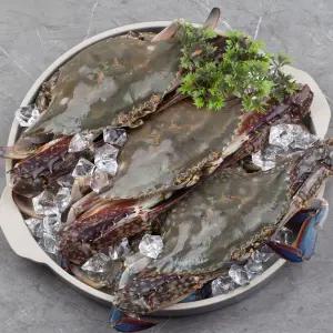 산지 서해안 태안 생물 활 꽃게 2kg 6-10마리 암수혼합