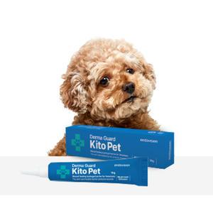 키토펫10g 1개 강아지상처연고 고양이 피부병 습진 아토피피부염 화상 구내염 링웜 턱드름
