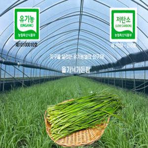 모메조아 명품유기농부추 유기인증제10100010호, 저탄소인증제2024-210호 산지 싱싱한 1kg 1개