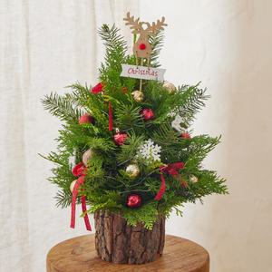 크리스마스 생화 트리 DIY 세트 레드&골드