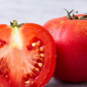 촉촉과즙 찰 토마토 5KG 샐러드 샌드위치 파스타 다양한 요리 국내산