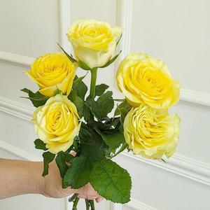 장미 5송이 생화 꽃