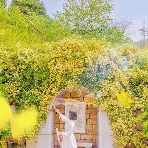 진해 보타닉 뮤지엄(수목원) 입장권(할로윈 이벤트)/진해가볼만한곳/창원/전시/힐링/데이트/수목원/