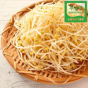 무농약 콩나물 1kg 지하 암반수 친환경 국산콩