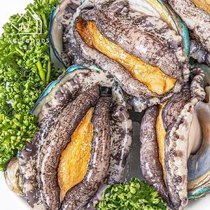 [웰굿] 완도직송 명품 활 전복 1kg(22-25미,실속3)