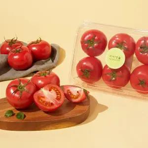 친환경 토마토 900g/팩