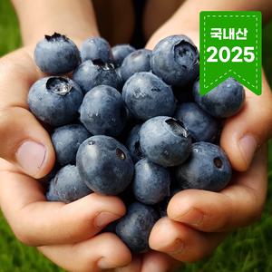 [국내산]당일 수확 슈퍼푸드 아삭상큼 생블루베리 생과 400g
