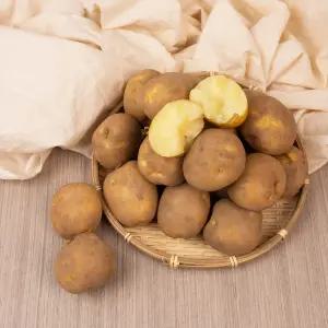 픽댓 국내산 포슬 제철 햇감자 왕 사이즈 5kg (120-250g이상)