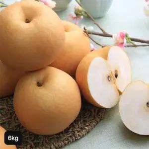 내입에 못난이 햇 나주배 6kg