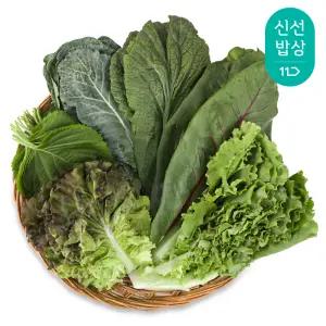[품질보장]국내산 모둠 쌈채소 600g / 믿고 먹는 만인산농협