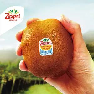 제스프리 썬 골드키위 자이언트 사이즈 총 3kg (20입 개당 155g 내외)