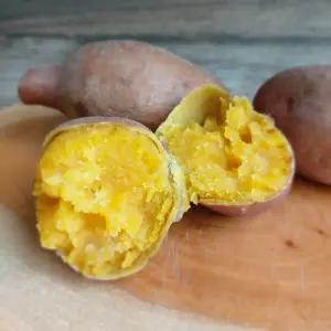 2025년산 해남 고구마 호박고구마 5kg(특상) 햇고구마