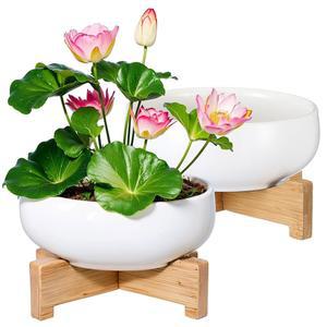 수생 및 실내 식물을 심을 수 있는 베이더케 연꽃 그릇 화분 2개 기본 세라믹 수경 재배 수련 가정용 대야 장식 흰색