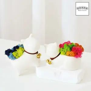 공기정화식물 스칸디아모스 화분세트 천연이끼 집들이 선물 2색 댕냥이 스킨디아모스 공기청정