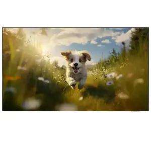 삼성전자 NEO QLED KQ75QNF85AFXKR 풀모션슬림핏벽걸이형 수도권 (제트)