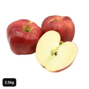 열매나무 못난이 사과 2.5kg