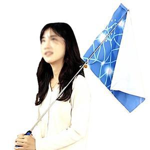 투투스토어 여행가이드 깃발봉 깃대 인솔 안테나 지시봉 랜덤색상 안테나지시봉 가이드봉 여행깃발