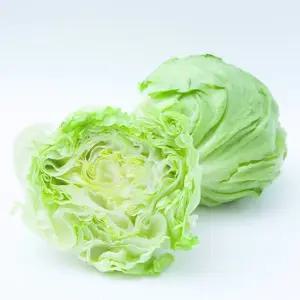 싱싱한 국내산 양상추 깐 양상추